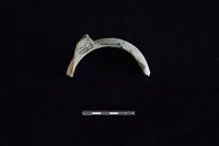 陶罐藏品圖，第2張